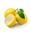 Citrons jaunes bio - 3/4 pièces (environ 500g)