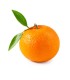 Oranges bio - 1kg
